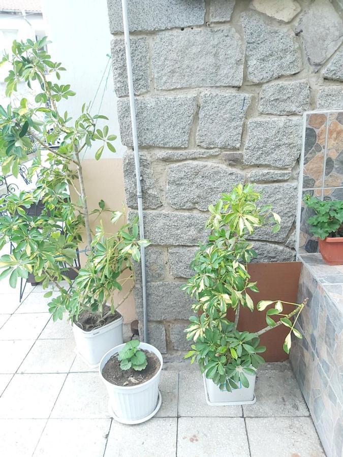 Kyshta Za Gosti Dari Rumi 1 Sozopol Exterior foto